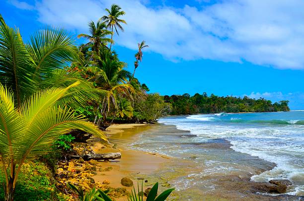 Wild beach Bocas del Toro in Panama Enjoying the Scenic of the Panama Coast colon photos stock pictures, royalty-free photos & images