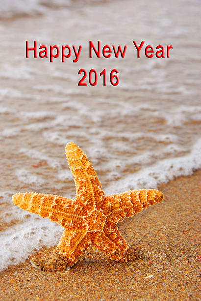 Happy New Year 2016 Starfish Ocean stock photo