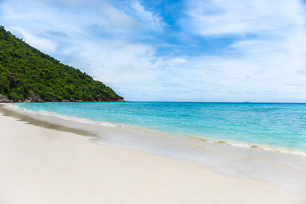 istock Tropical white sand beach and blue sky. Similan islands 499686658