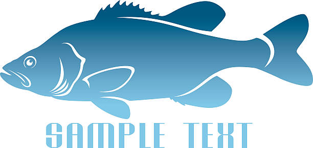 ロゴの魚 - grouper点のイラスト素材／クリップアート素材／マンガ素材／アイコン素材