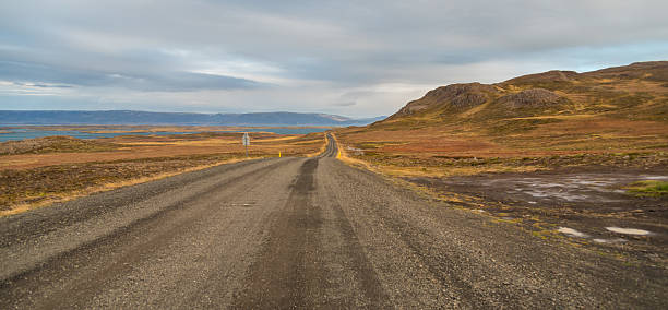 istock Highway through South Icelandic landscape under cloudy sky 499692988
