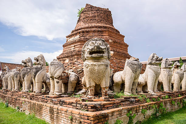 pedra fatídico criaturas de ayuthaya, tailândia. - chinese temple dog imagens e fotografias de stock