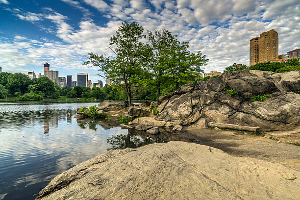 istock Central Park, New York City 499693579
