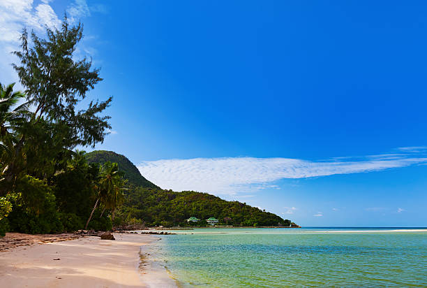 istock Tropical beach at Seychelles 499694328