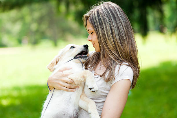 istock Woman at the park with a dog 499697311