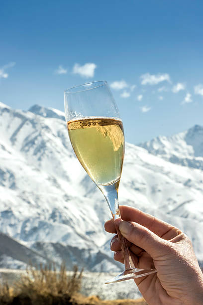 istock Raise one´s glass with champagne 499698200