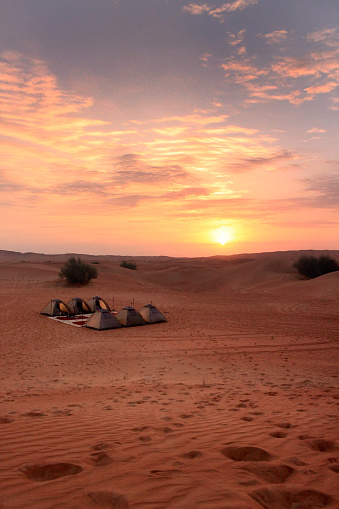 Camping in the Desert in Dubai. 