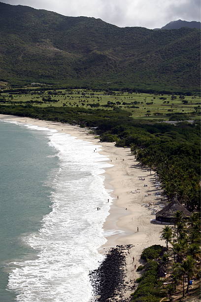 West African beach with coconut trees, local woman in background.