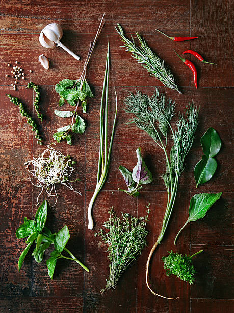 istock Set of herbs and spices 499700823