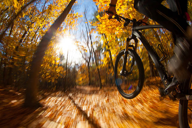 istock Mountain biker catching some air on a trail. 499701416