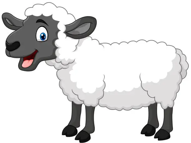 Vector illustration of Cartoon happy sheep posing isolated on white background