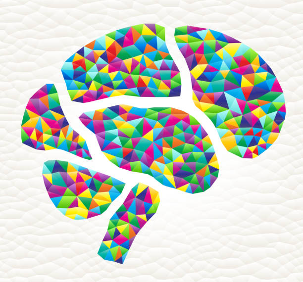 Visual Cortex Cartoon Images Visuele Cortex Illustraties en vectorbeelden - iStock
