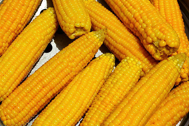 istock Fresh corn in the market 499718305
