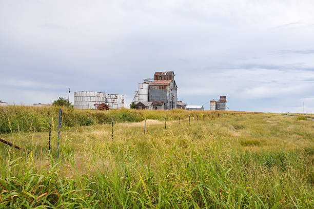 istock Texan Landscape with old grain elevators near Groom, Texas, USA. 499718864