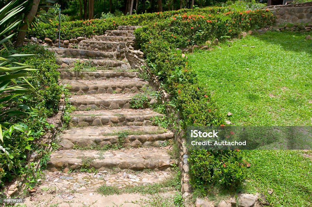 beautiful path in a garden with rising steps. Bush Stock Photo