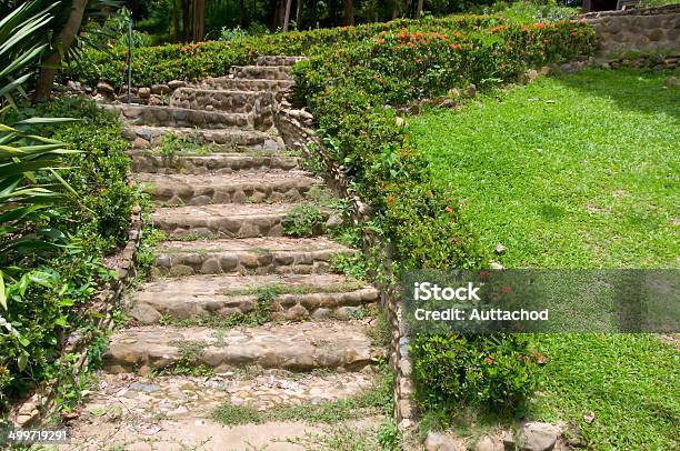 Beautiful Path In A Garden With Rising Steps Stock Photo - Download Image Now - Bush, Elegance, Footpath