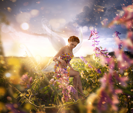 Beautiful Fairy with wings is sitting on the flower in the green field