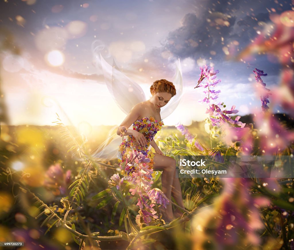 Beautiful Fairy Beautiful Fairy with wings is sitting on the flower in the green field Fairy Costume Stock Photo