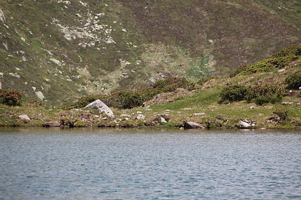 lago hirschebensee na primavera, kühtai, tirol, áustria - european alps tirol rhododendron nature - fotografias e filmes do acervo