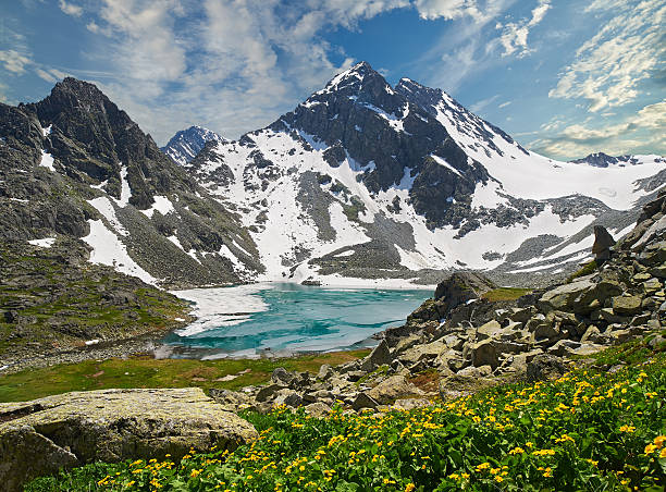 istock Beautiful summer landscape, Altai mountains Russia. 499720852
