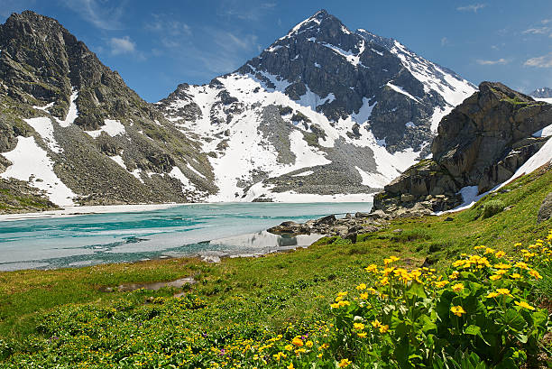 istock Beautiful summer landscape, Altai mountains Russia. 499720982