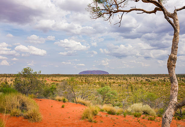 赤センターの景観の北地域、オーストラリア - australia arkose spinifex sandstone ストックフォトと画像