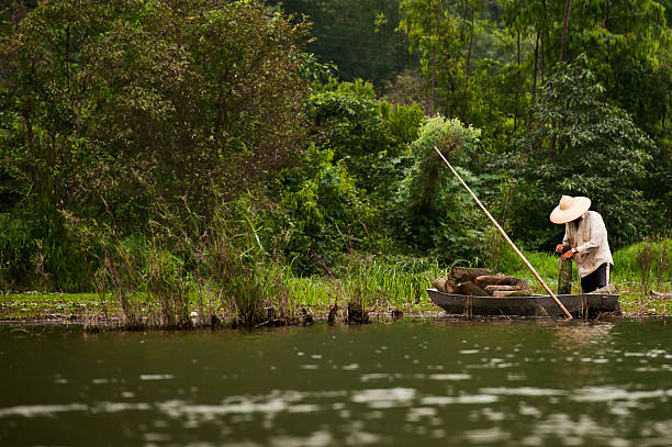 istock Fisherman in river in Vietnam 499722583