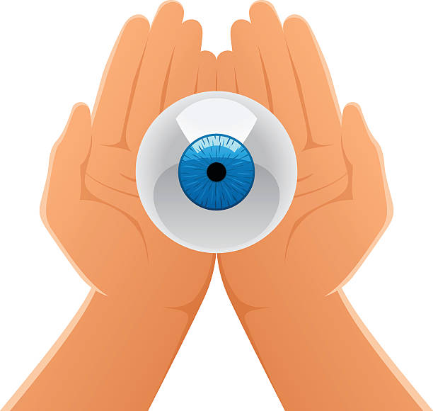 illustrazioni stock, clip art, cartoni animati e icone di tendenza di mani tenendo occhio - human eye cartoon looking blue eyes