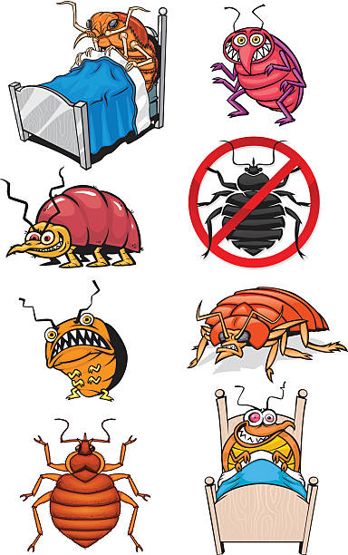 ilustrações, clipart, desenhos animados e ícones de inseto grupo cama - insect computer bug tick cartoon