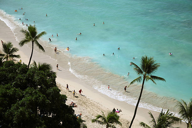 istock Waikiki Beach from above 499724868
