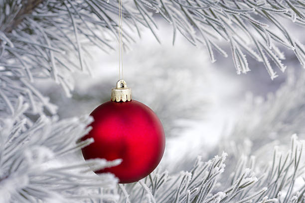 istock Christmas decorations on the pine branch 499725976