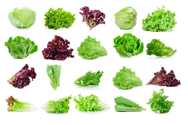 istock fresh  lettuce leaves isolated on white 499726076