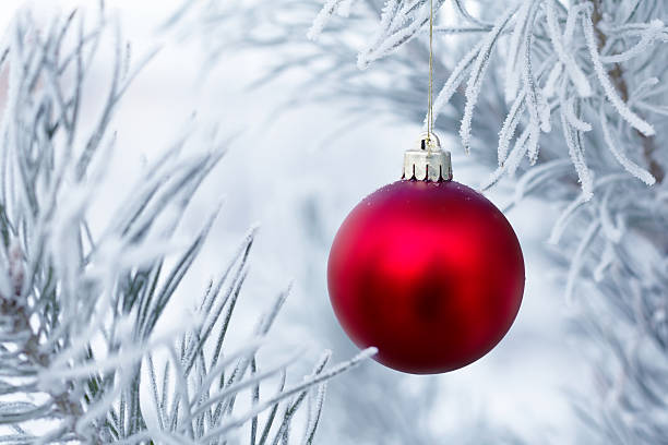 istock Christmas decorations on the pine branch 499726284
