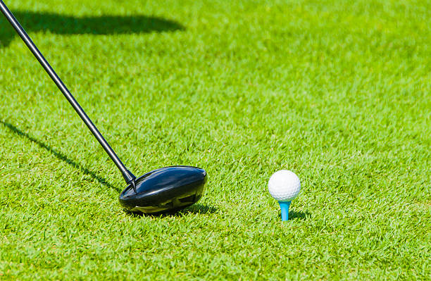 istock Golf equipment, golf ball with tee on course and stick 499727032