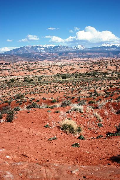 Petrified Dunes Viewpoint, Arches National Park, Utah