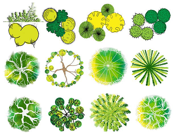 istock Set of treetop symbols, for architectural or landscape design 499730202