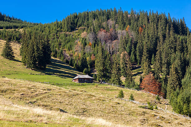 istock Mountains with Autumnal Forest and Shepherds Wooden Hut 499730434