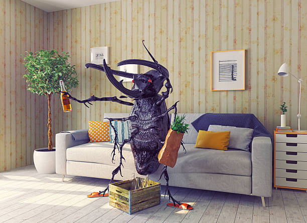 istock the beetle in the living room 499730670