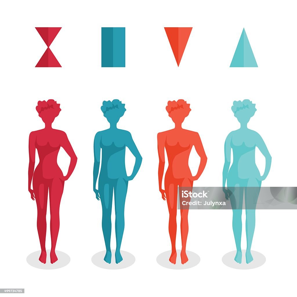 Female body shapes - four types  Female body shapes - four types Adult stock vector