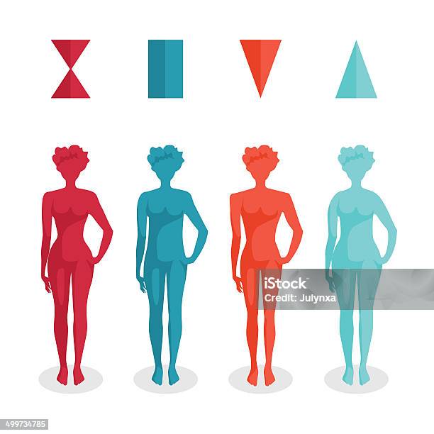 Female Body Shapes Four Types Stock Illustration - Download Image Now - Adult, Adults Only, Beautiful People
