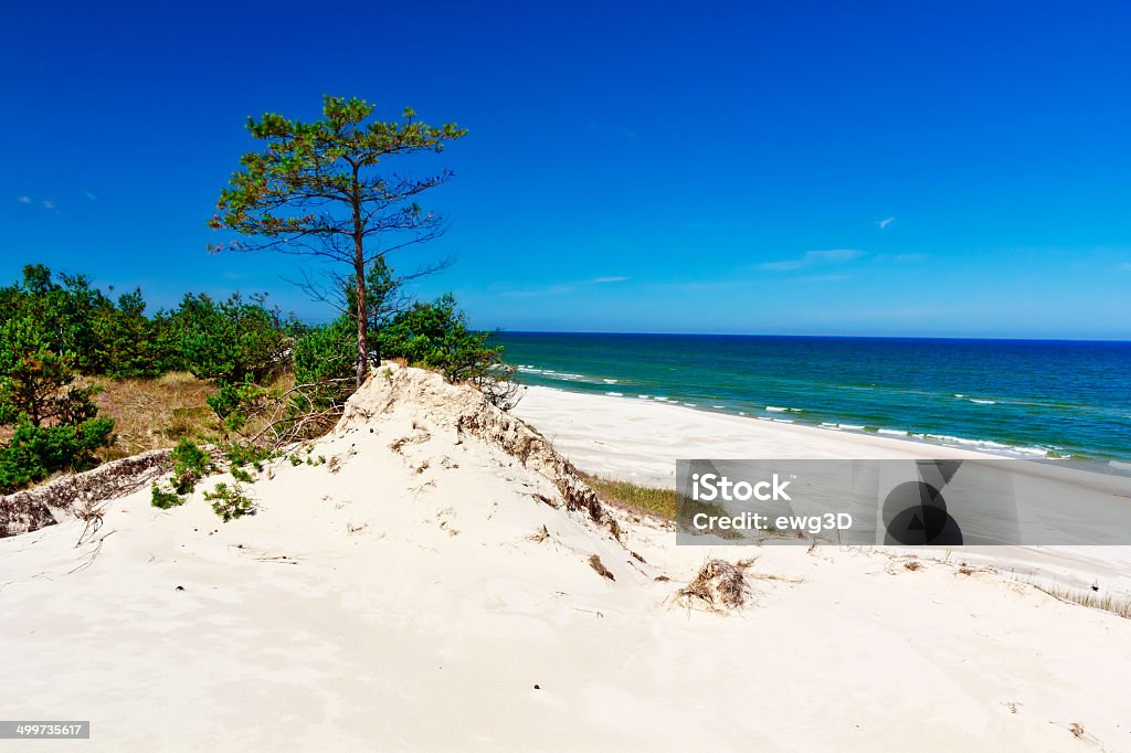 Dunes an der Küste an der Ostsee - Lizenzfrei Nationalpark Stock-Foto