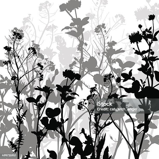 Silhouette Of Herbs And Flowers Stock Illustration - Download Image Now - Agricultural Field, Beauty, Blossom