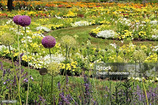 Sommer Flower Garden Stockfoto und mehr Bilder von Aufrechte Studentenblume - Aufrechte Studentenblume, Blume, Blume aus gemäßigter Klimazone