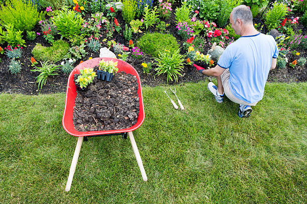 A yard decorated with an old shovel and a wheelbarrow turned planter.