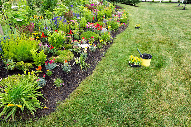 istock Planting yellow celosia in a colourful garden 499738457