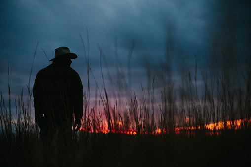 Silhouette of Cowboy standing in high grass on horizon at dusk