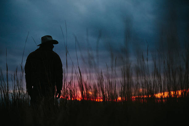 Silhouette of Cowboy standing on horizon at dusk stock photo