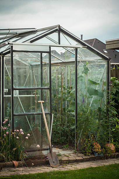 Garden greenhouse perspective