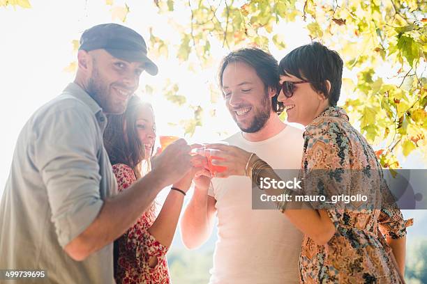 Friends Drinking Aperitif Outdoor Stock Photo - Download Image Now - 30-39 Years, Adults Only, Aperitif