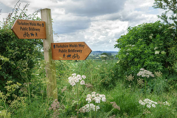 istock Yorkshire Wolds Way Signpost 499739855